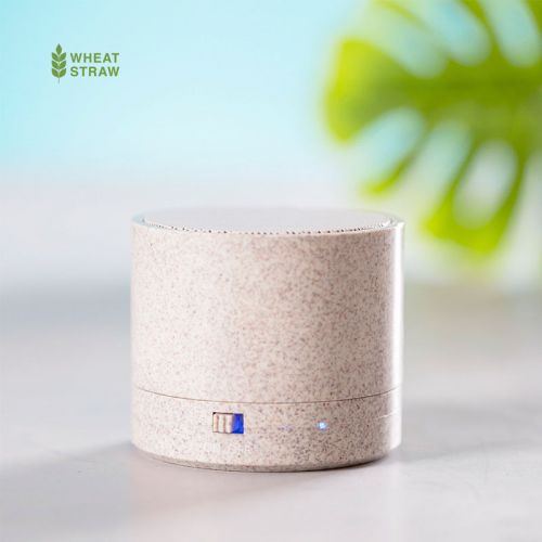 6540 | Altoparlante cayren