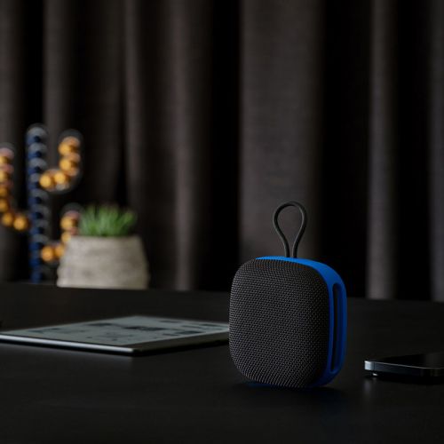 ASP009 | Speaker Da Vinci