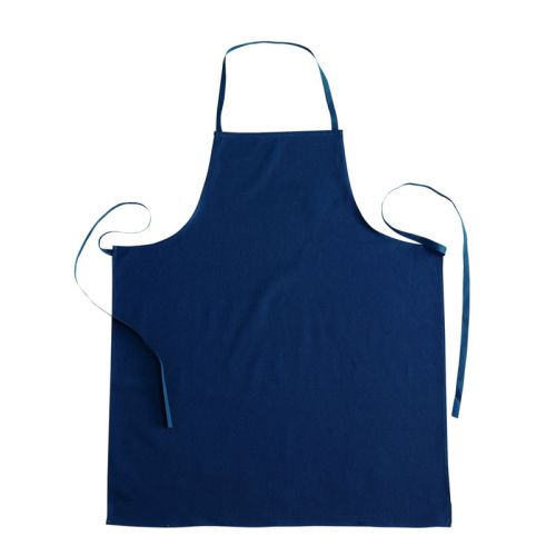 H213 | Parananza massaua