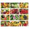 PA146 | Calendario frutta e verdura